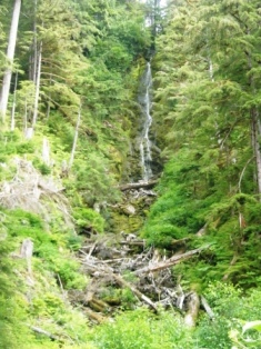 Waterfall seen during the Adventure Kart tour in Ketchikan