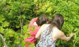 Berry picking during our Adventure Kart tour, a family friendly attractions