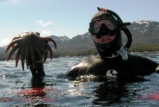 Getting into the water at Snorkel Alaska Cruise Excursions in Ketchikan Alaska