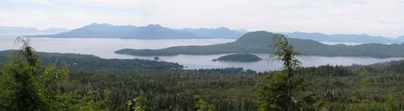 A view of Clover Pass in Ketchikan from the Adventure Kart Tour