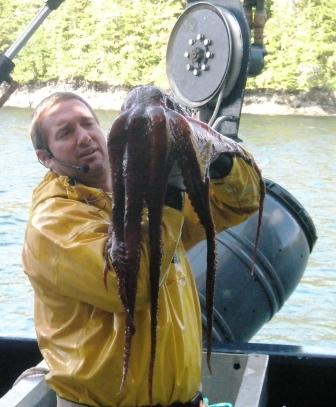 An octopus caught on an Alaska cruise excursions
