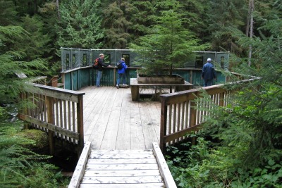 The observation platform at Traitors Cove for bear viewing in Alaska