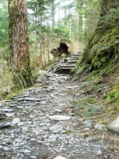 Just some of the stairs you'll encounter on the Deer Mountain trail in Ketchikan Alaska