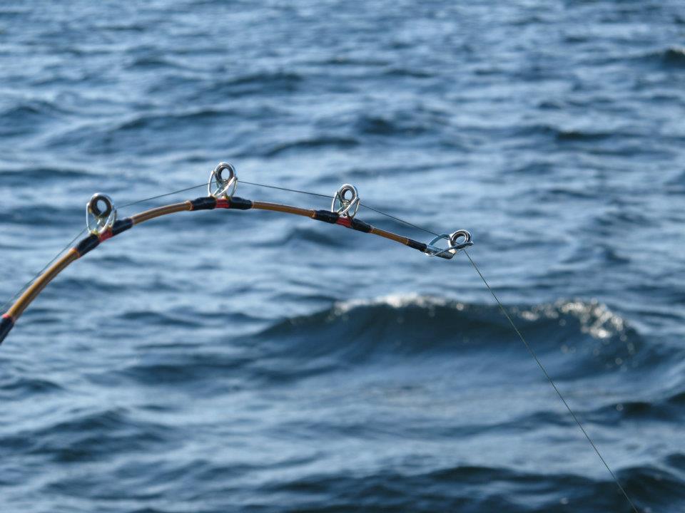 Creek Street Ketchikan Alaska one of the most popular attractions!