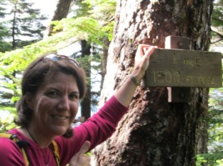 The plaque at the 1 mile overlook on Deer Mountain trail in Ketchikan Alaska