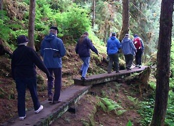 The hike to Anan Bear Observatory for bear viewing in Alaska