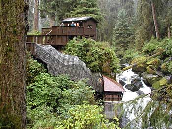 The Anan Bear Observatory is perfect for getting bear pictures