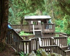 The observation platform at Anan Bear Observatory