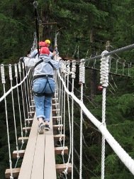 Ziplines in Ketchikan Alaska